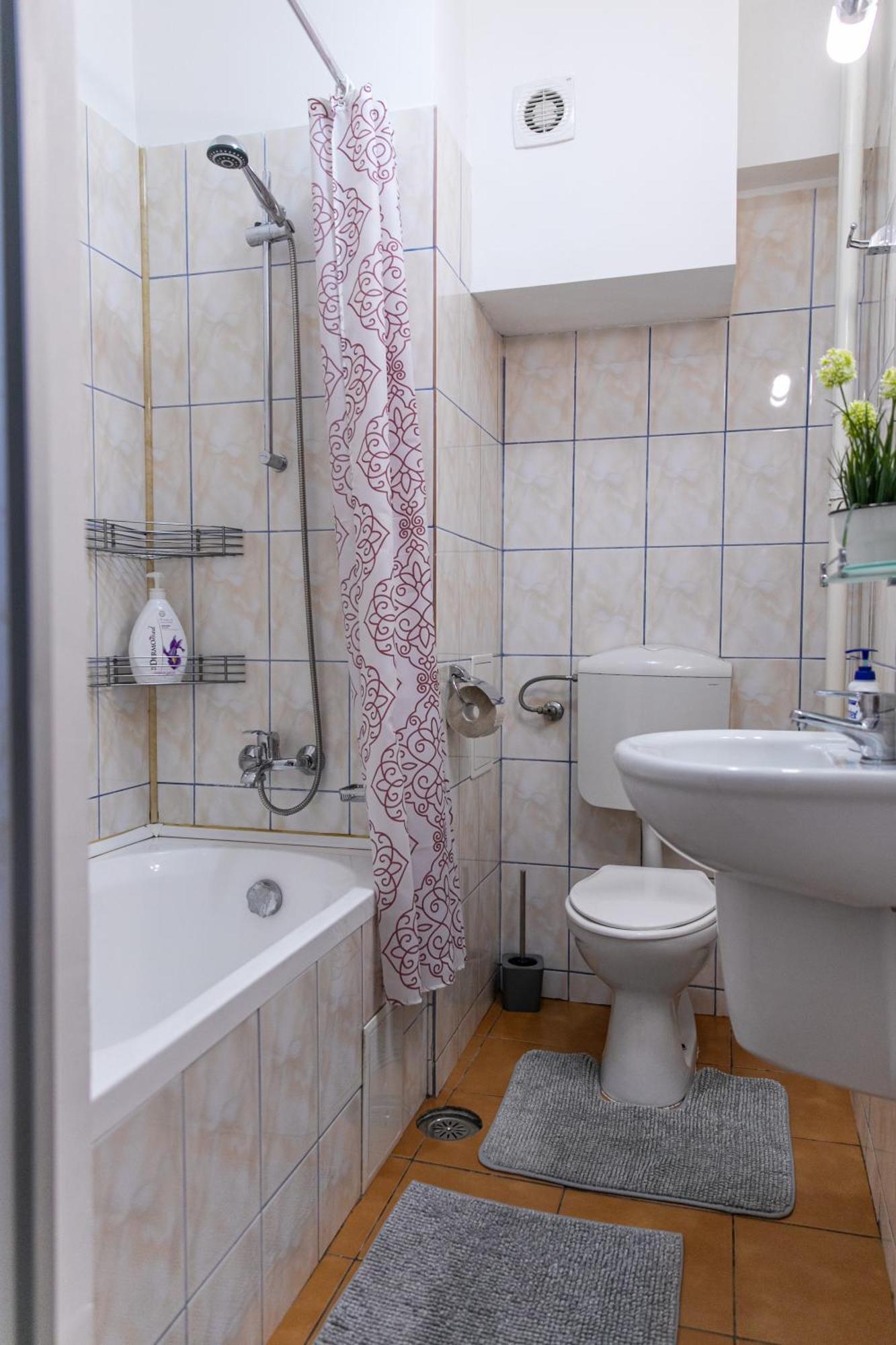 Color Apartment Regina Elisabeta 23 布加勒斯特 外观 照片